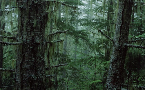 南靖哪个山上有兰花，福建漳州南靖 特色